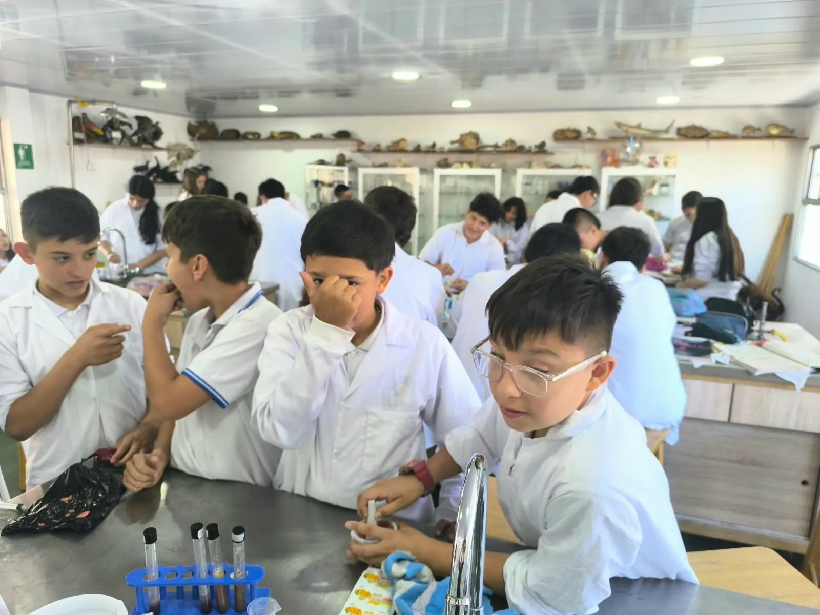 Estudiantes con bata blanca observan una práctica con tubos de ensayo en el mesón del laboratorio de ciencias naturales