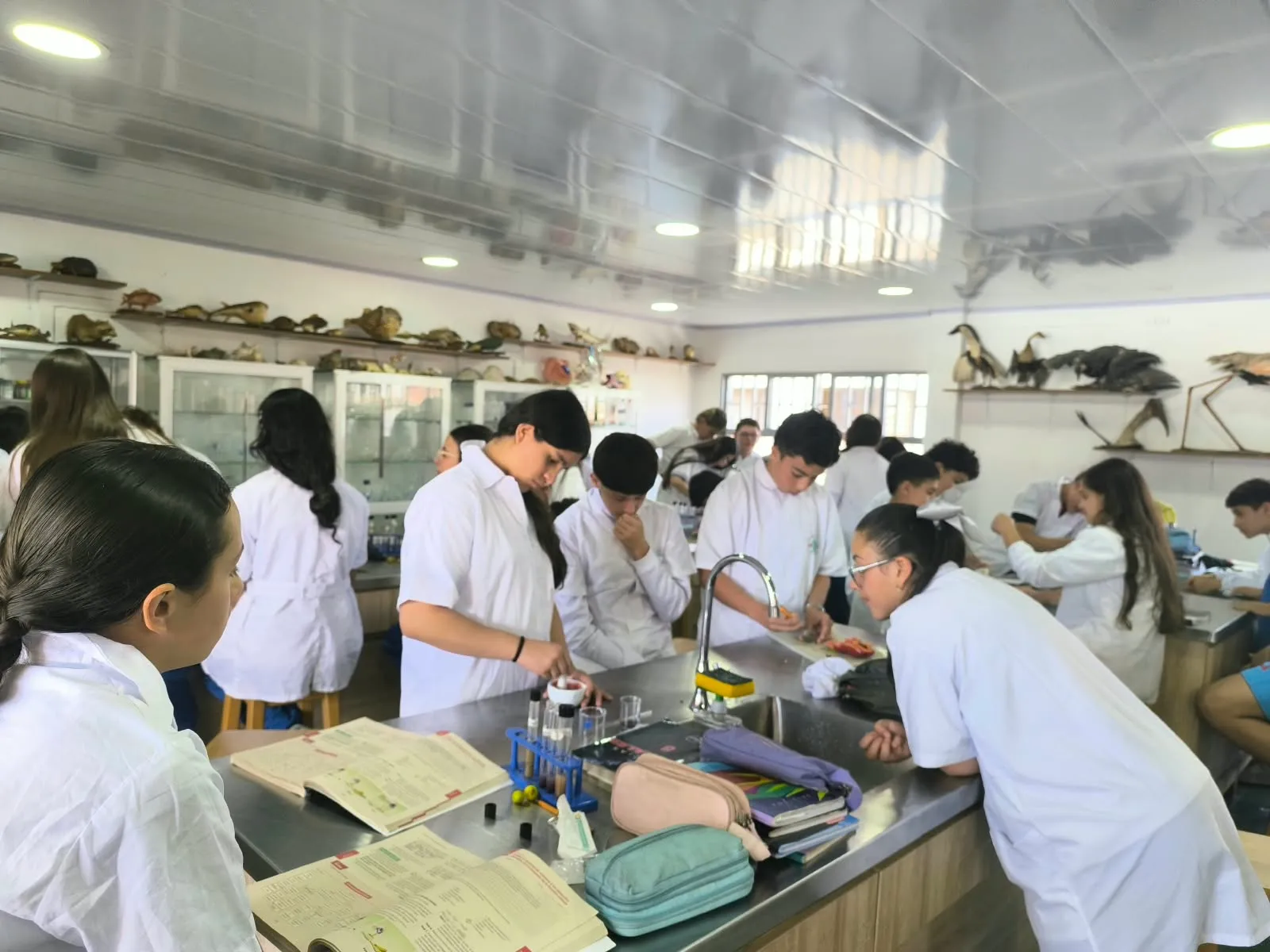 Estudiantes con bata blanca trabajan con tubos de ensayo en el laboratorio de ciencias del colegio